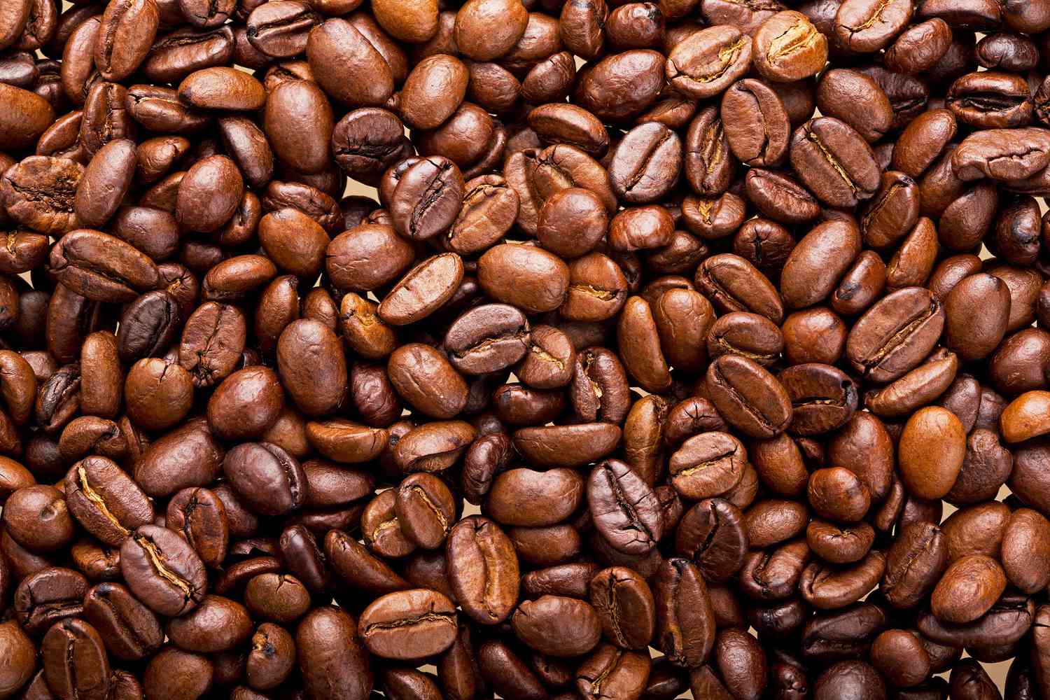 Arabica