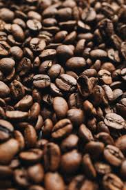 Robusta